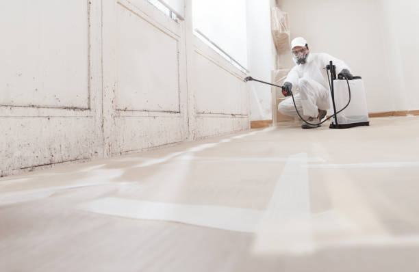 24/7 Emergency Mold Removal experts in North Wales, PA